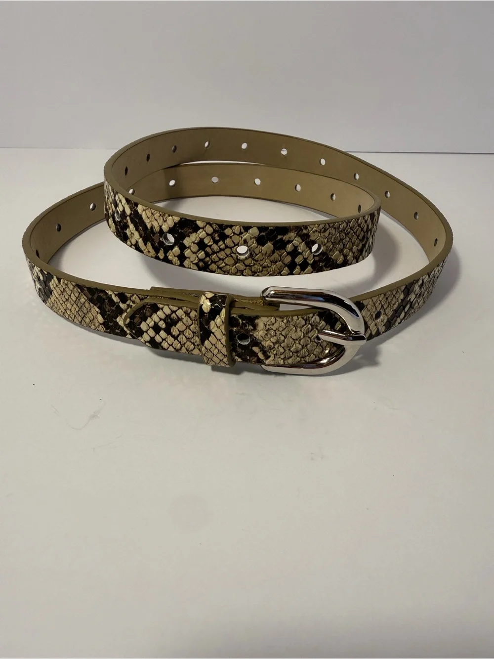 Chic Neutral Snakeskin Print Skinny Belt Silver Buckle